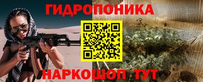 гидра Тулун