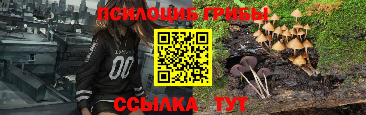 Галлюциногенные грибы GOLDEN TEACHER Лесозаводск